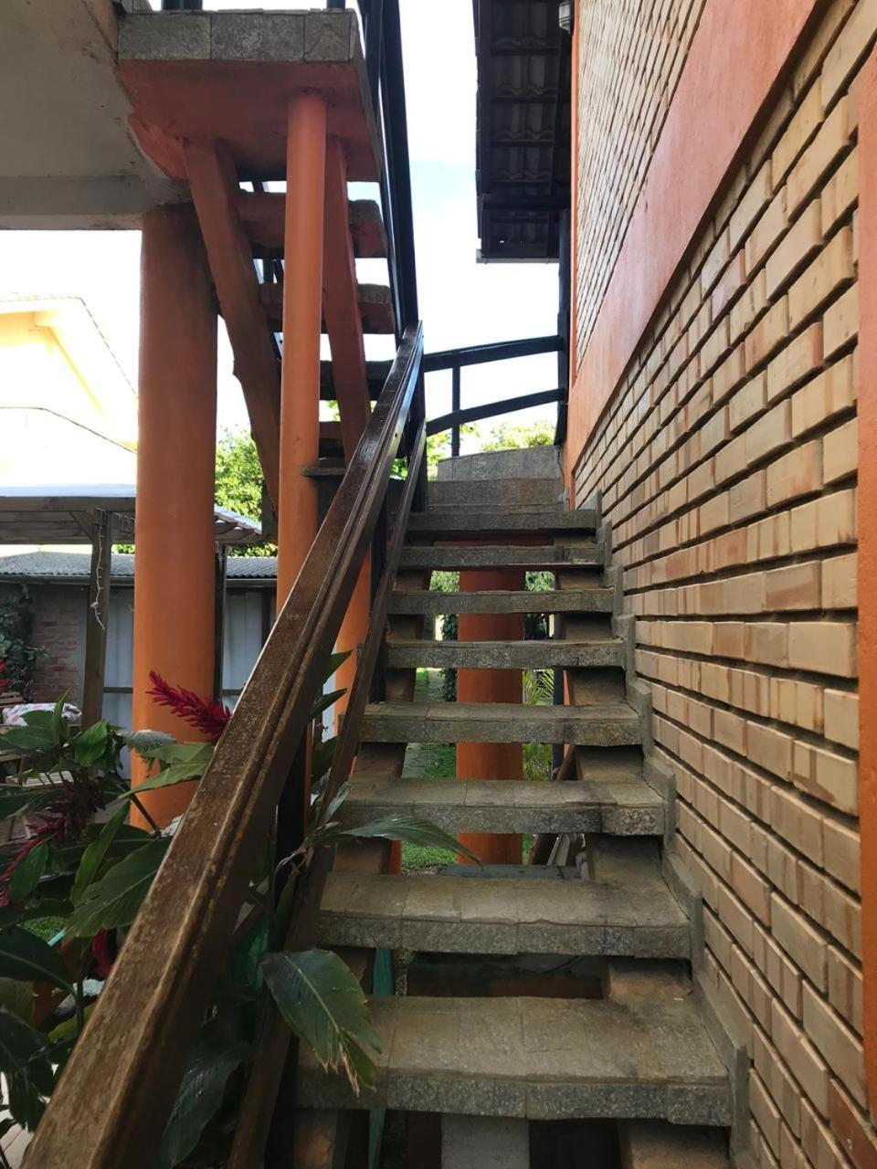 Beija-flor * Bombinhas